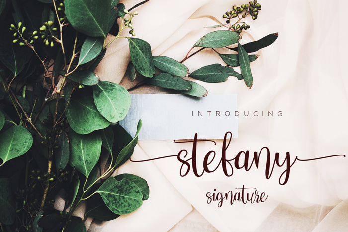 Stefany Signature Font poster