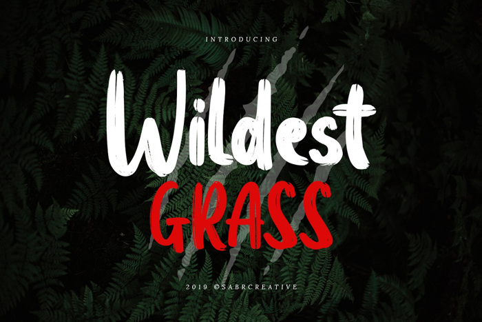 Wildest Grass Font poster