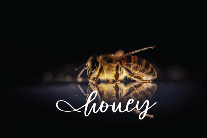 honey Font poster