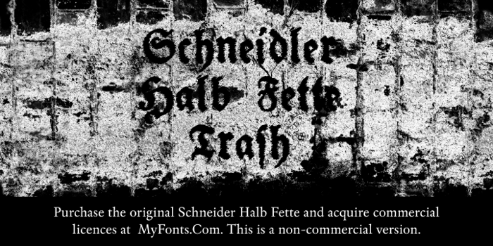 Schneidler Halb Fette Trash Font