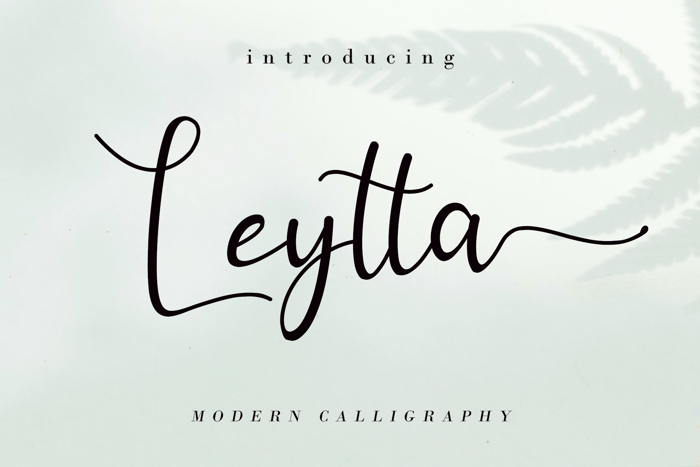 Leytta Font poster