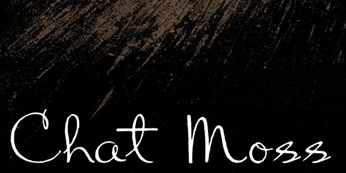 Chart Moss Font poster