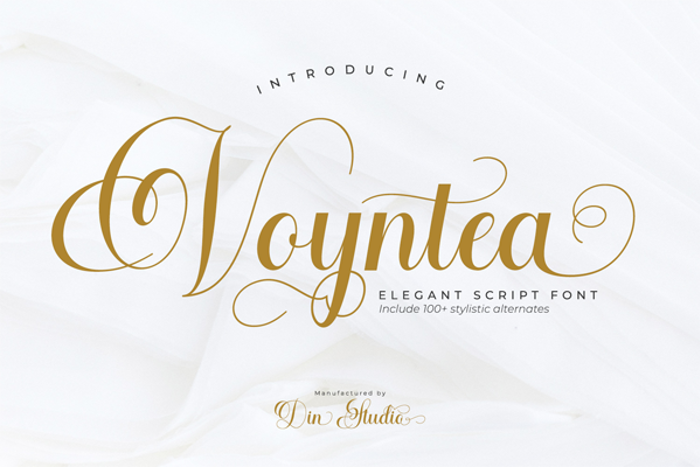 Voyntea Font poster