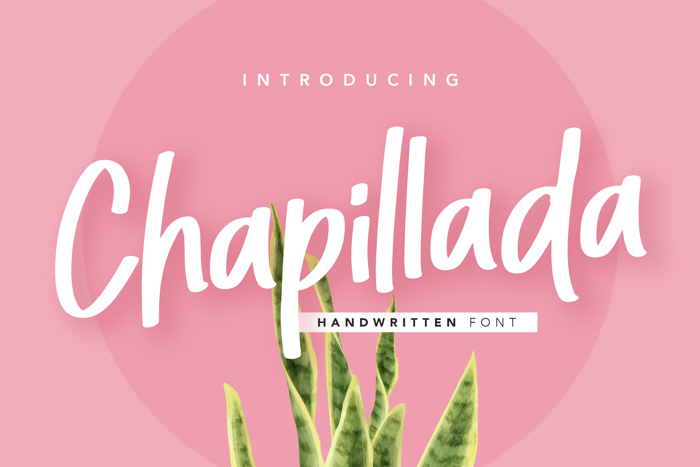Chapillada Font poster
