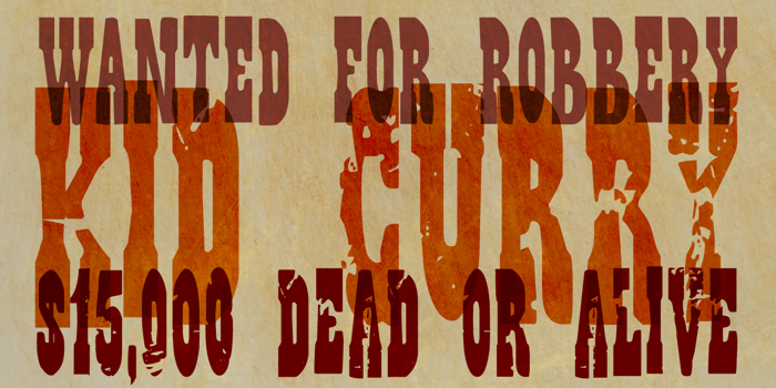 DK Wild Bunch Font poster