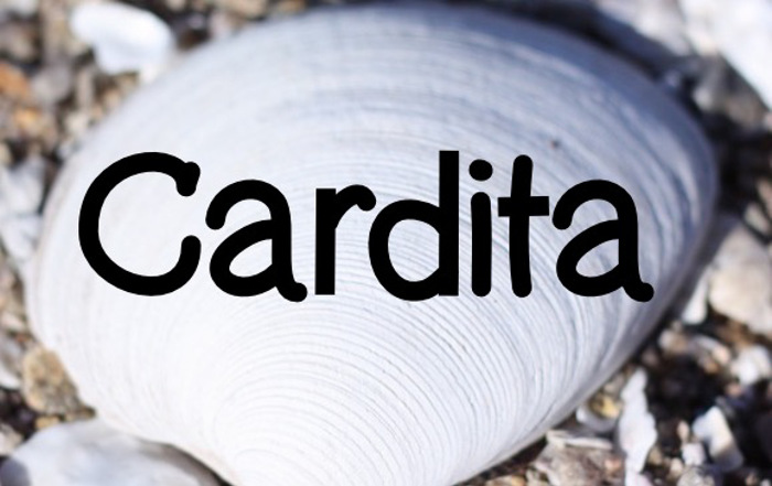 Cardita Font poster