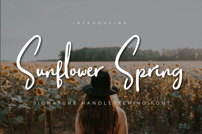 Sunflower Spring Font poster