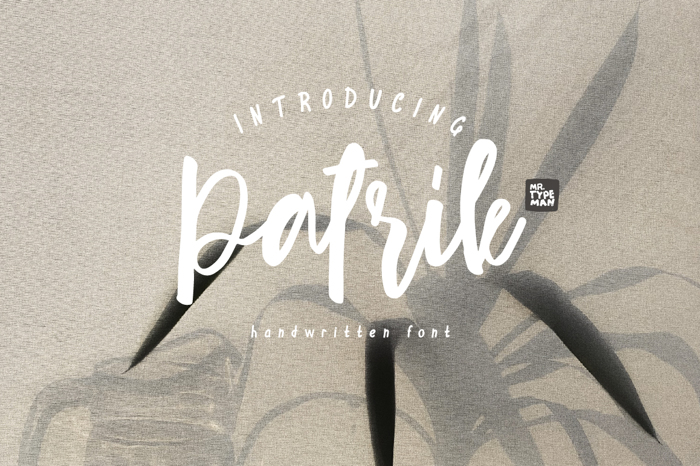 Patrik Font poster