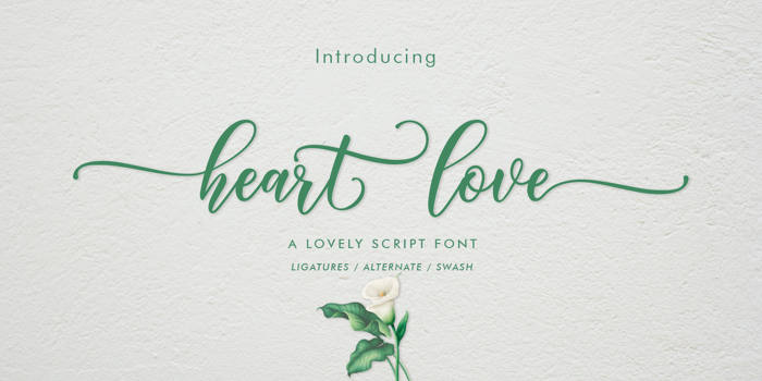 heart love Font poster