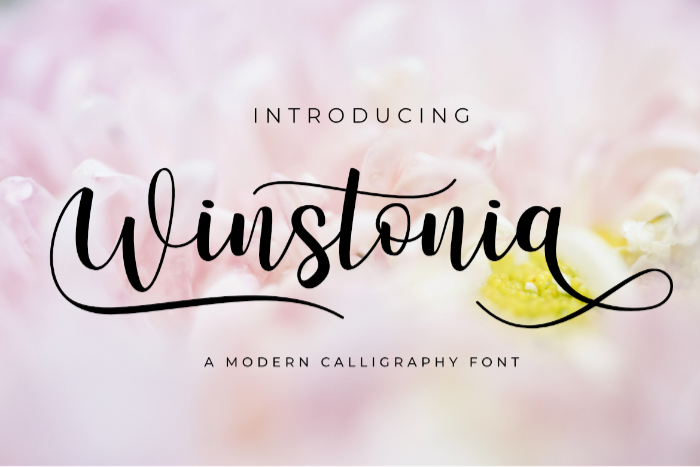 Winstonia Font poster