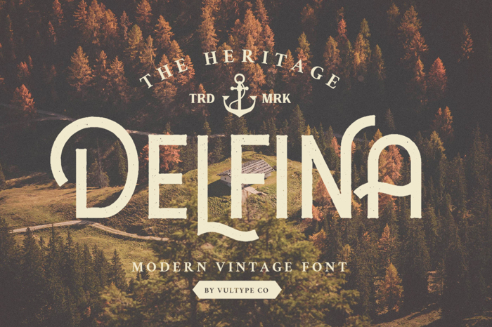 Delfina Font poster