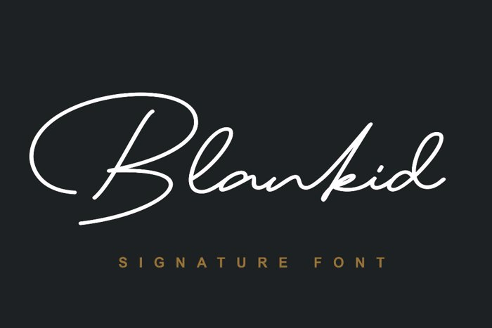 Blankid Font poster