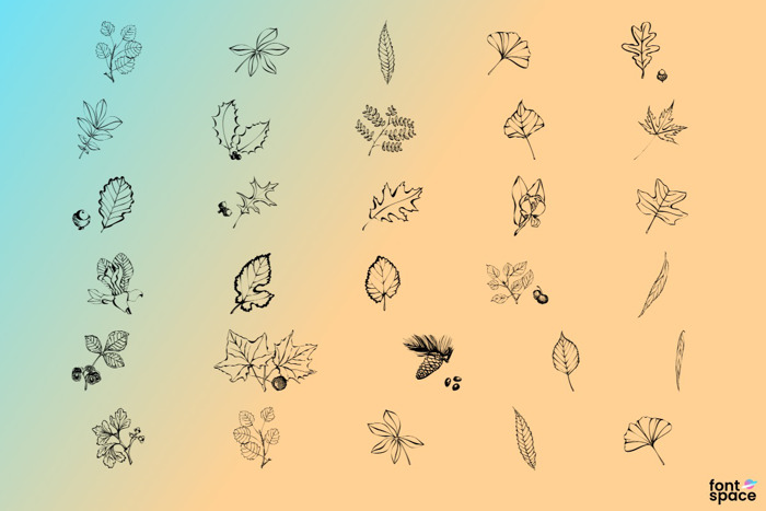 Arboris Folium Font