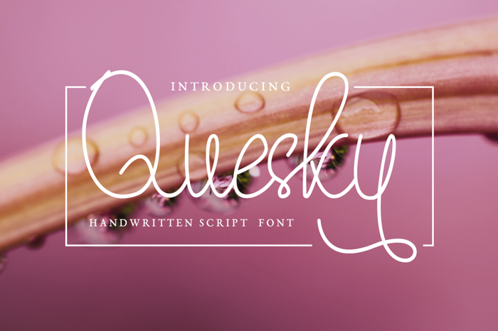 Quesky Font poster