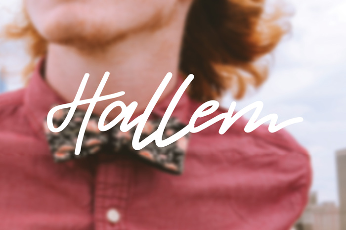 hallem Font poster