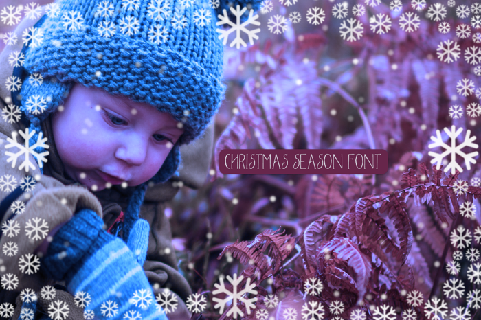 Christmas Season Font poster