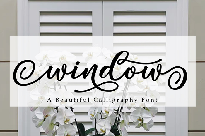 Window Font poster