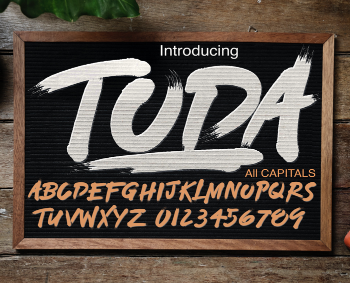 TODA DEMO Font poster
