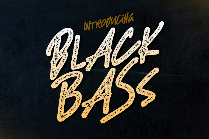 Black Bass Font poster