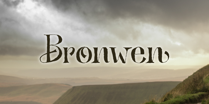 Bronwen DEMO Font poster