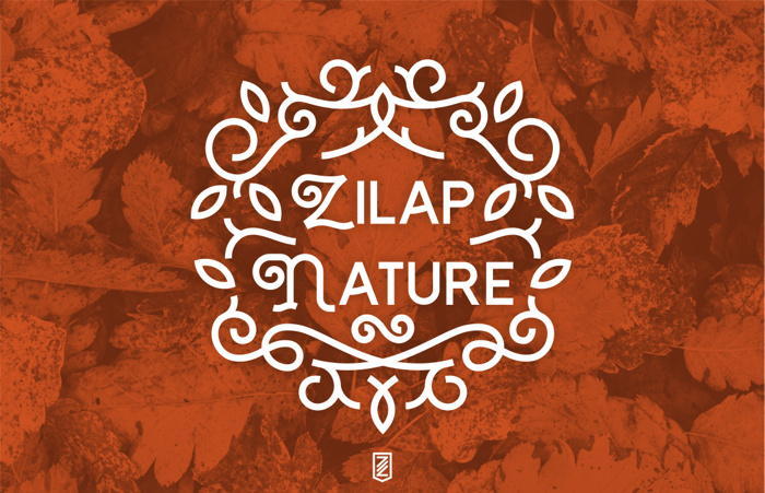 Zilap Nature Font poster