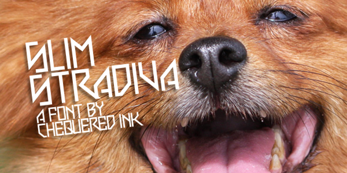 Slim Stradiva Font poster