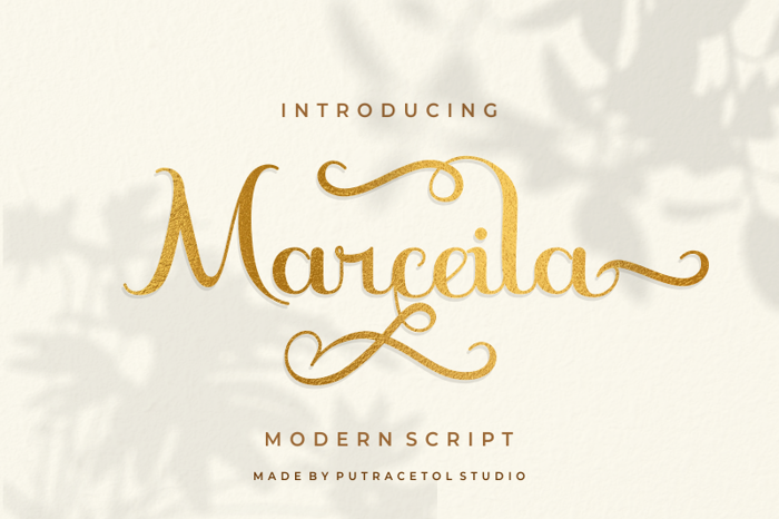 Marceila Font poster