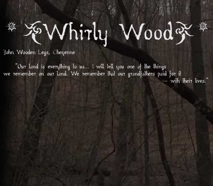 Whirly Wood Font poster