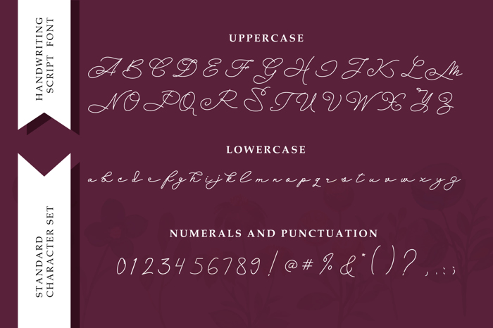 Budapest Girl Font poster
