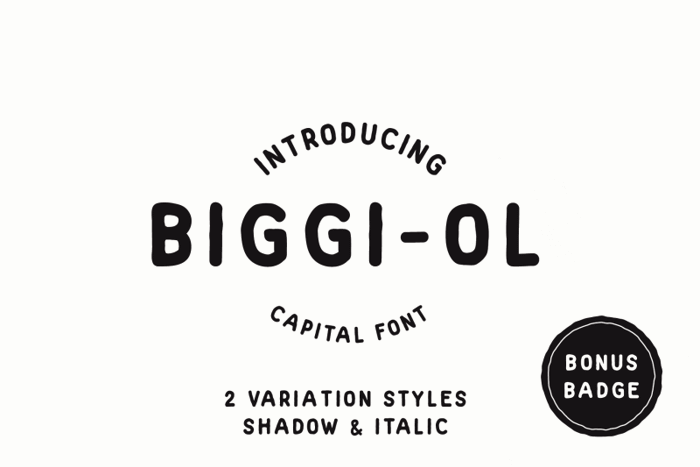 Biggi Ol Font poster