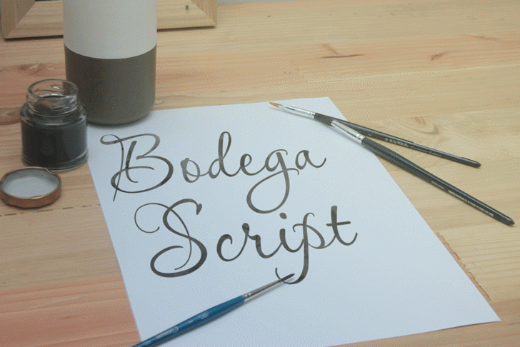 bodega script font free