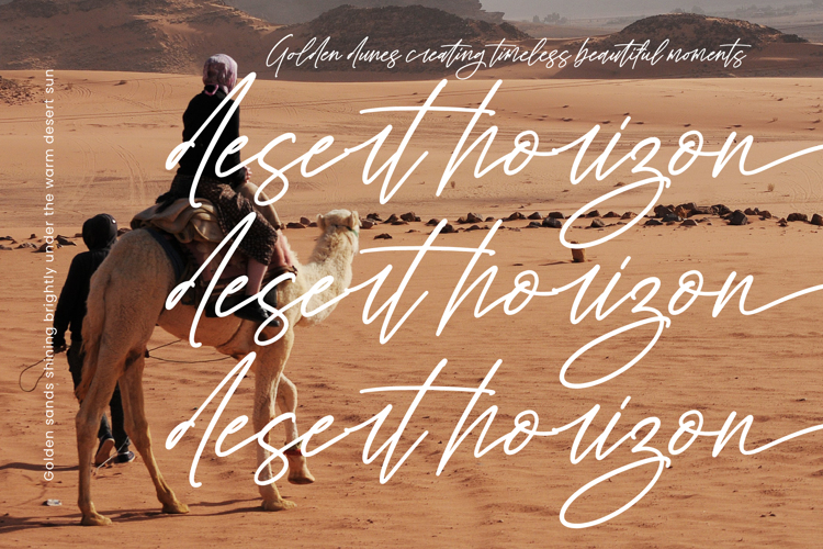 Preview of Living Spaces Font
