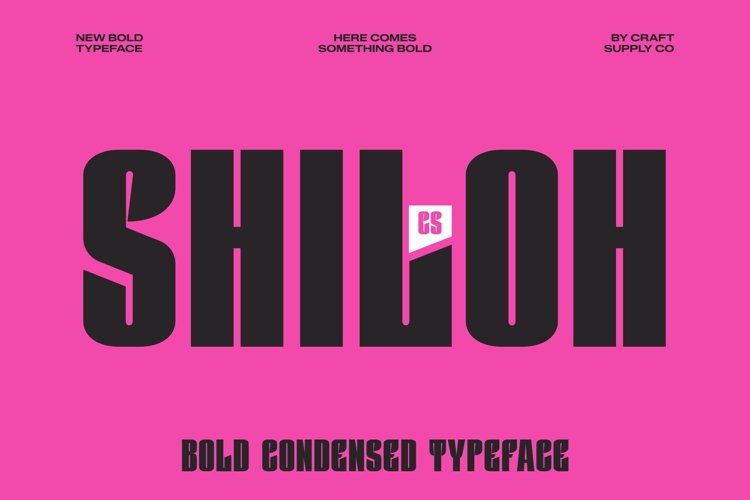 Preview of CS Shiloh Font