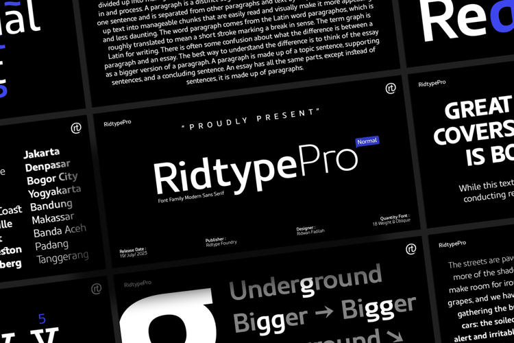 Ridtype Pro Font Family Demo