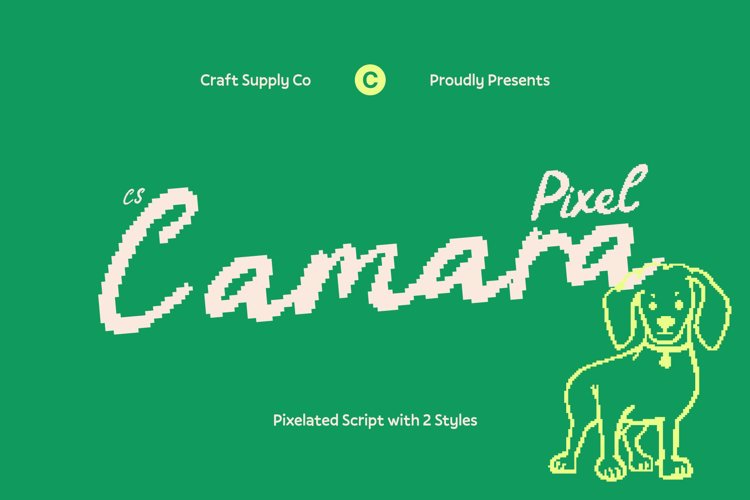 Preview of CS Camara Pixel Font