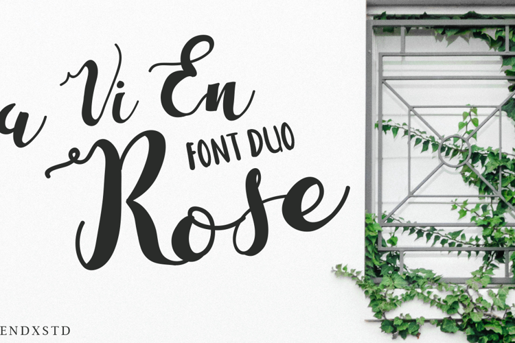 La Vi En Rose Font