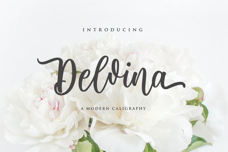 Delvina Font