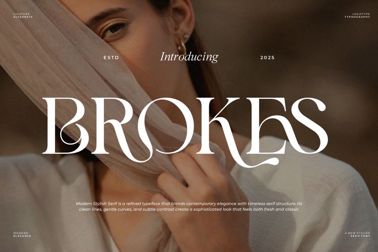 Preview of Brokes Font