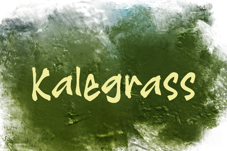 K Kalegrass Font