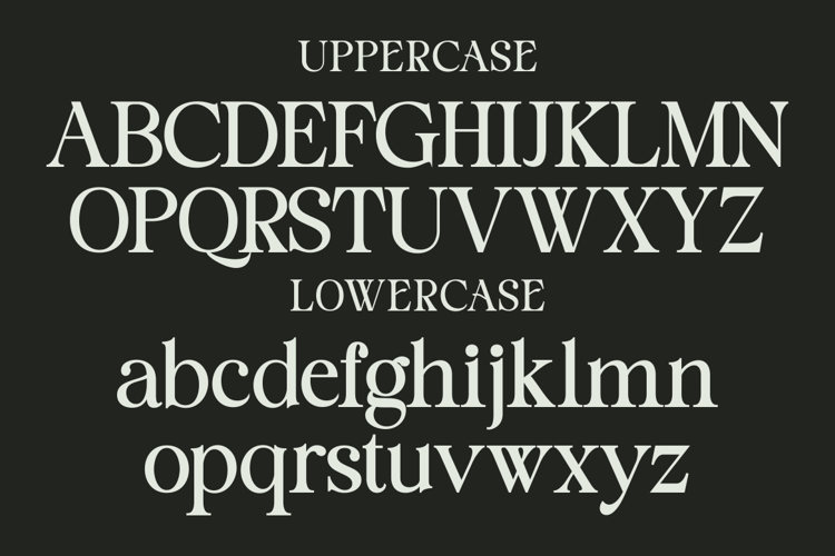 staller Font