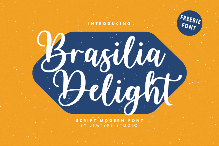 Brasilia Delight Commercial Use Font