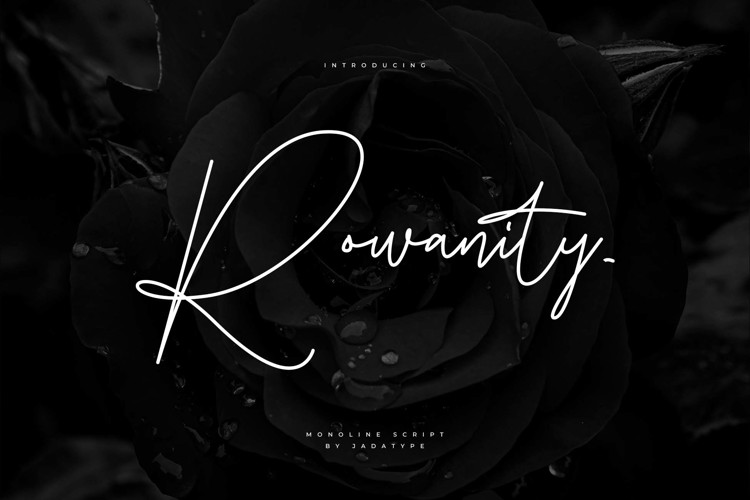 Preview of Rowanity Font