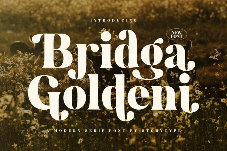 Bridga Goldeni Font