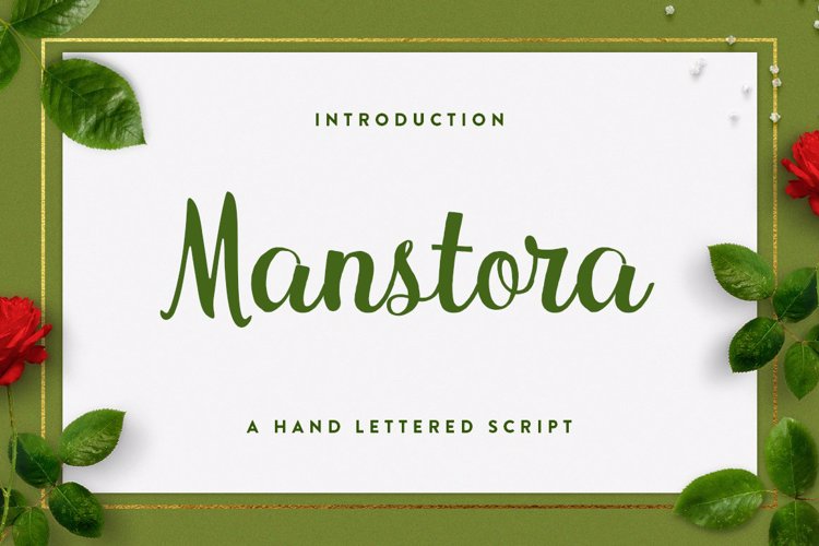 Manstora Script Font