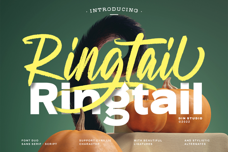 Ringtail Sans Serif Personal Us Font