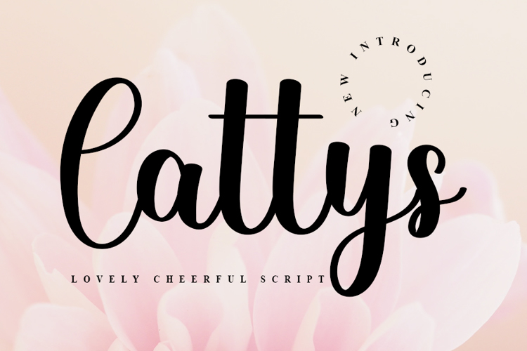 Cattys Font