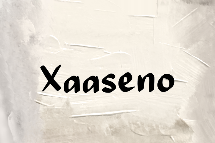 Preview of x  Xaaseno Font