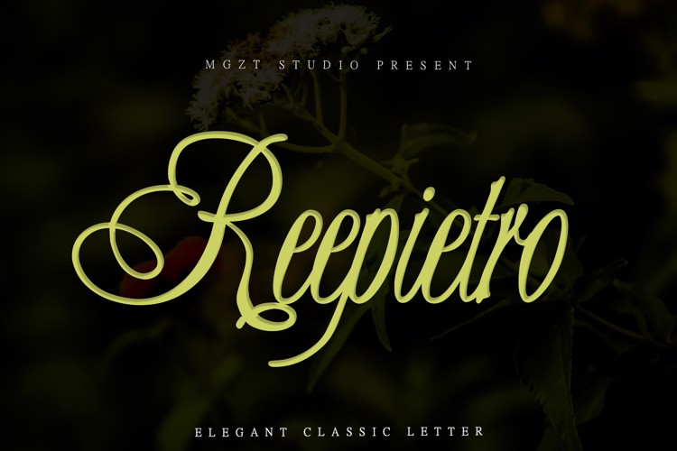 Preview of Reepietro Font