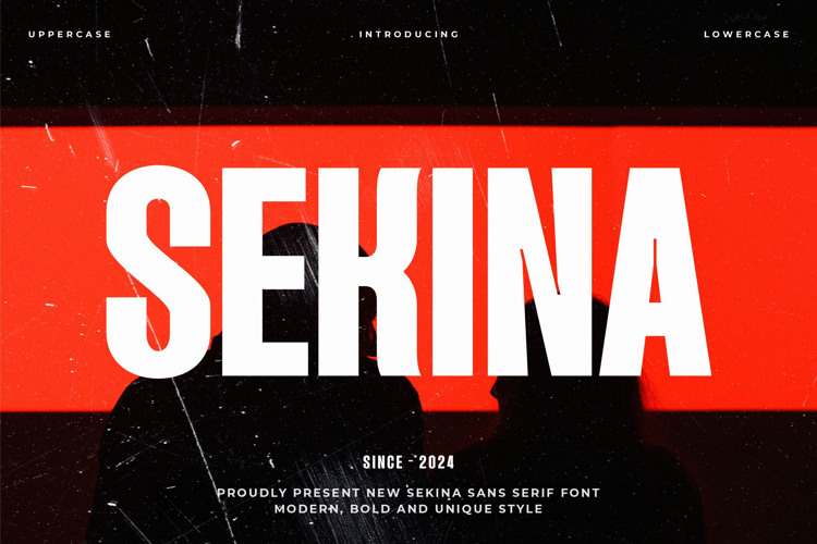 Preview of SEKINA Font