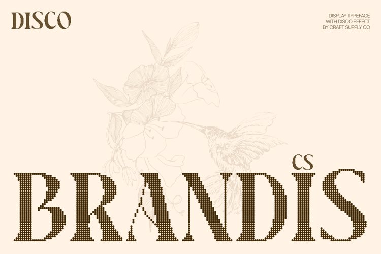 Preview of CS Brandis Disco Font